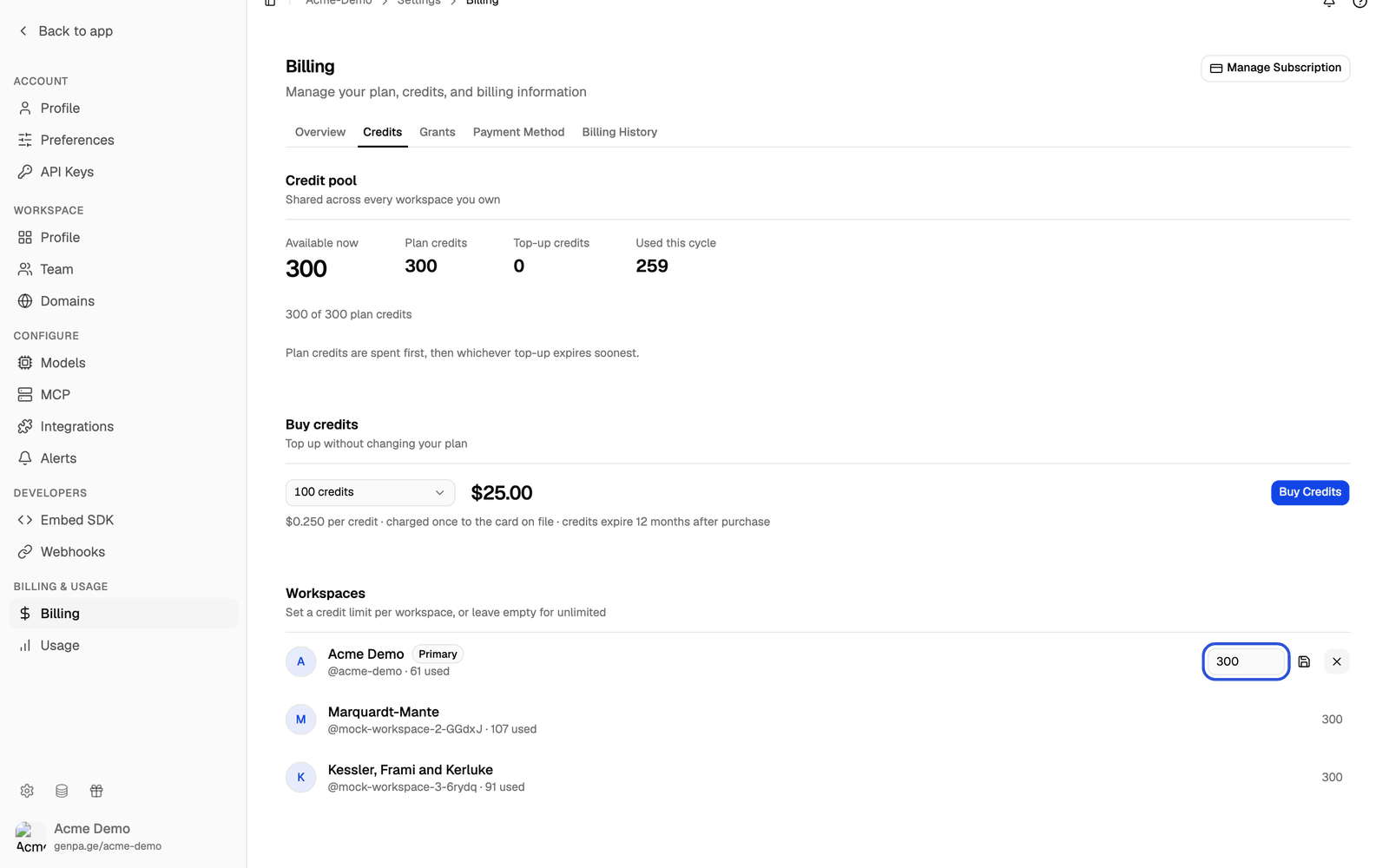 Workspaces section with the credit limit of the primary workspace open for editing