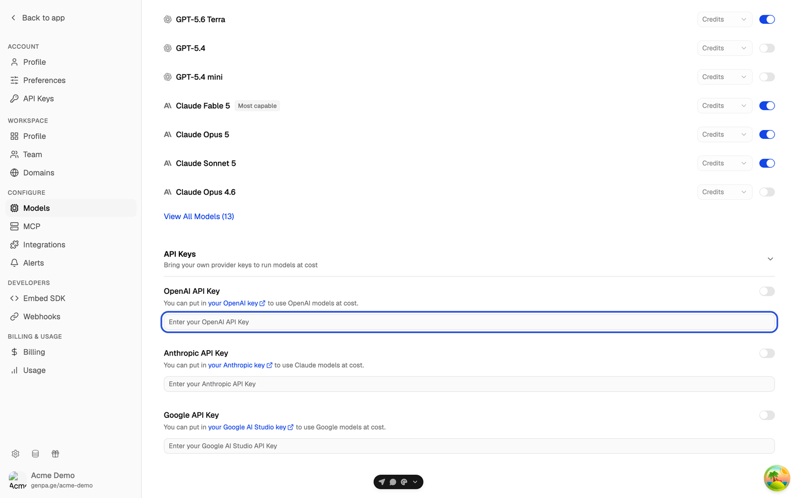 API Keys section with the empty OpenAI, Anthropic and Google key fields, with the OpenAI field highlighted