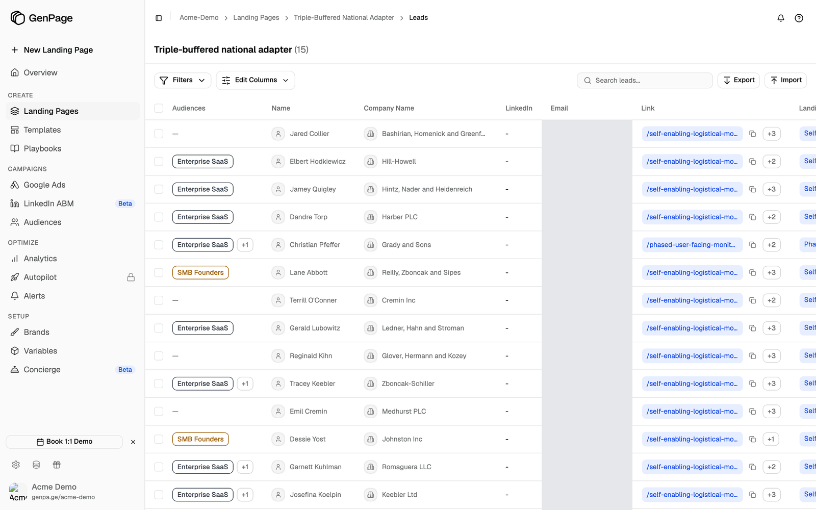 The leads table for one landing page, with a row per lead and a Link column holding each lead's own page address