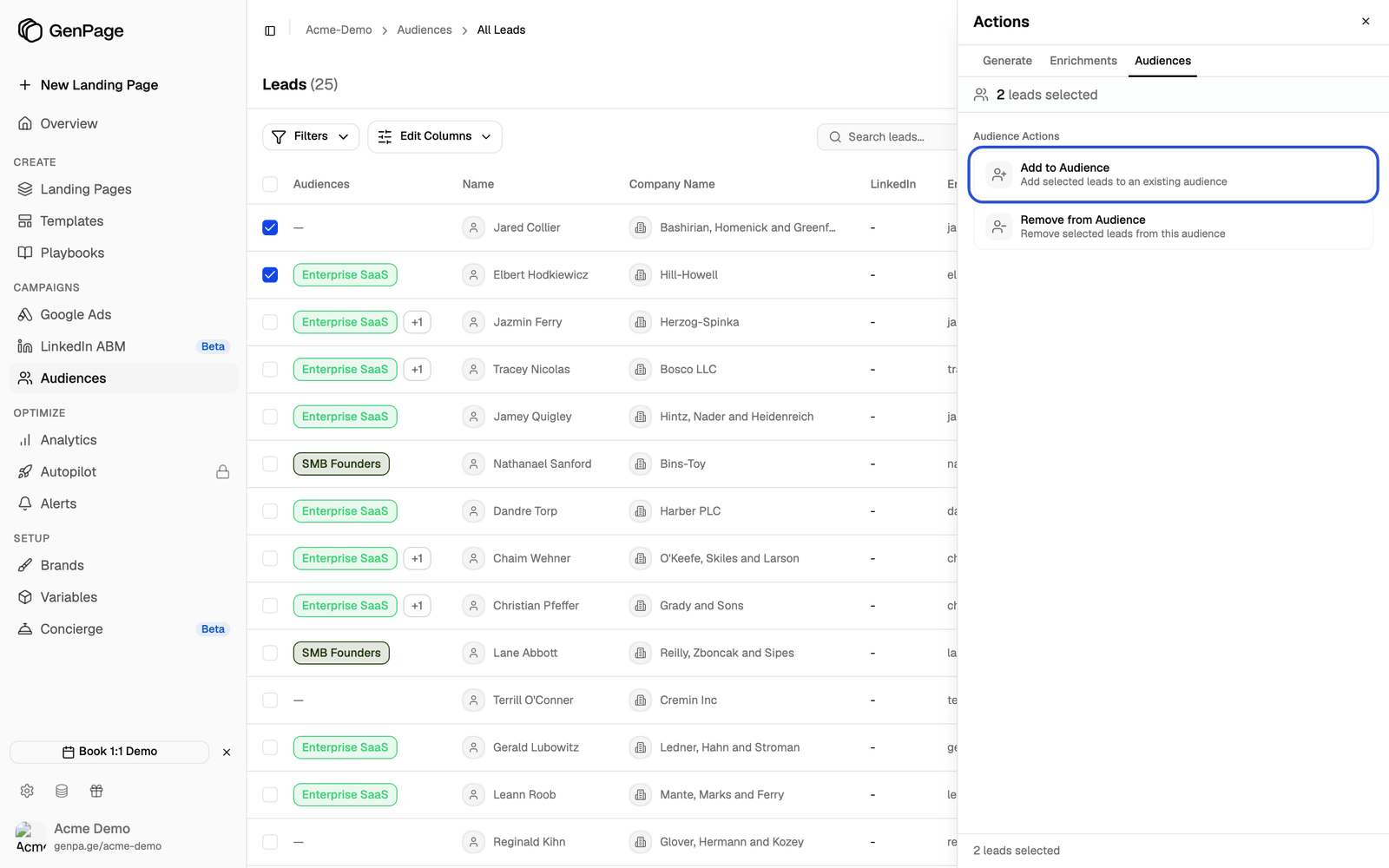Actions panel on the Audiences tab with two leads selected and Add to Audience highlighted