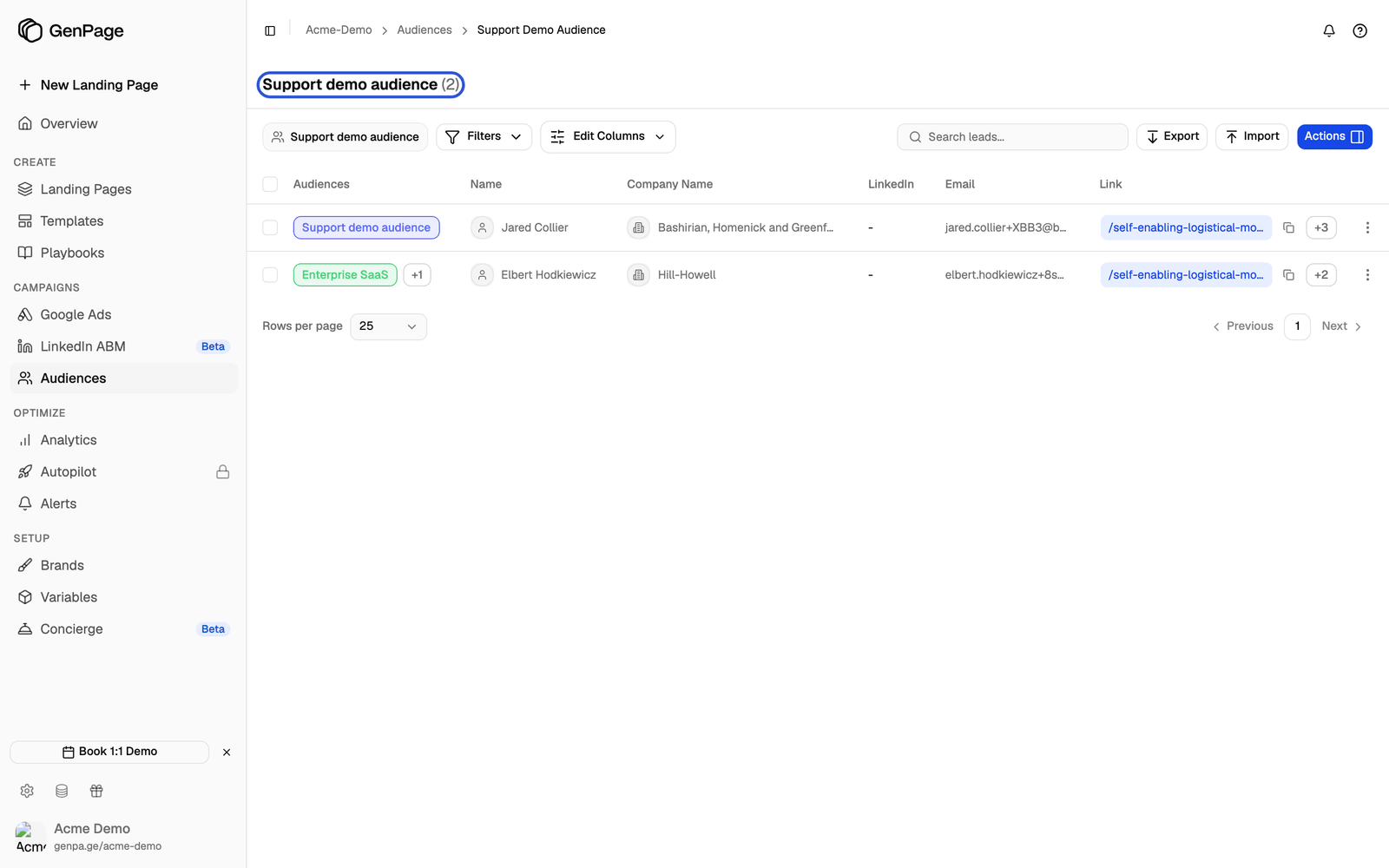 Leads table scoped to one audience, showing two leads and the audience name as the page title
