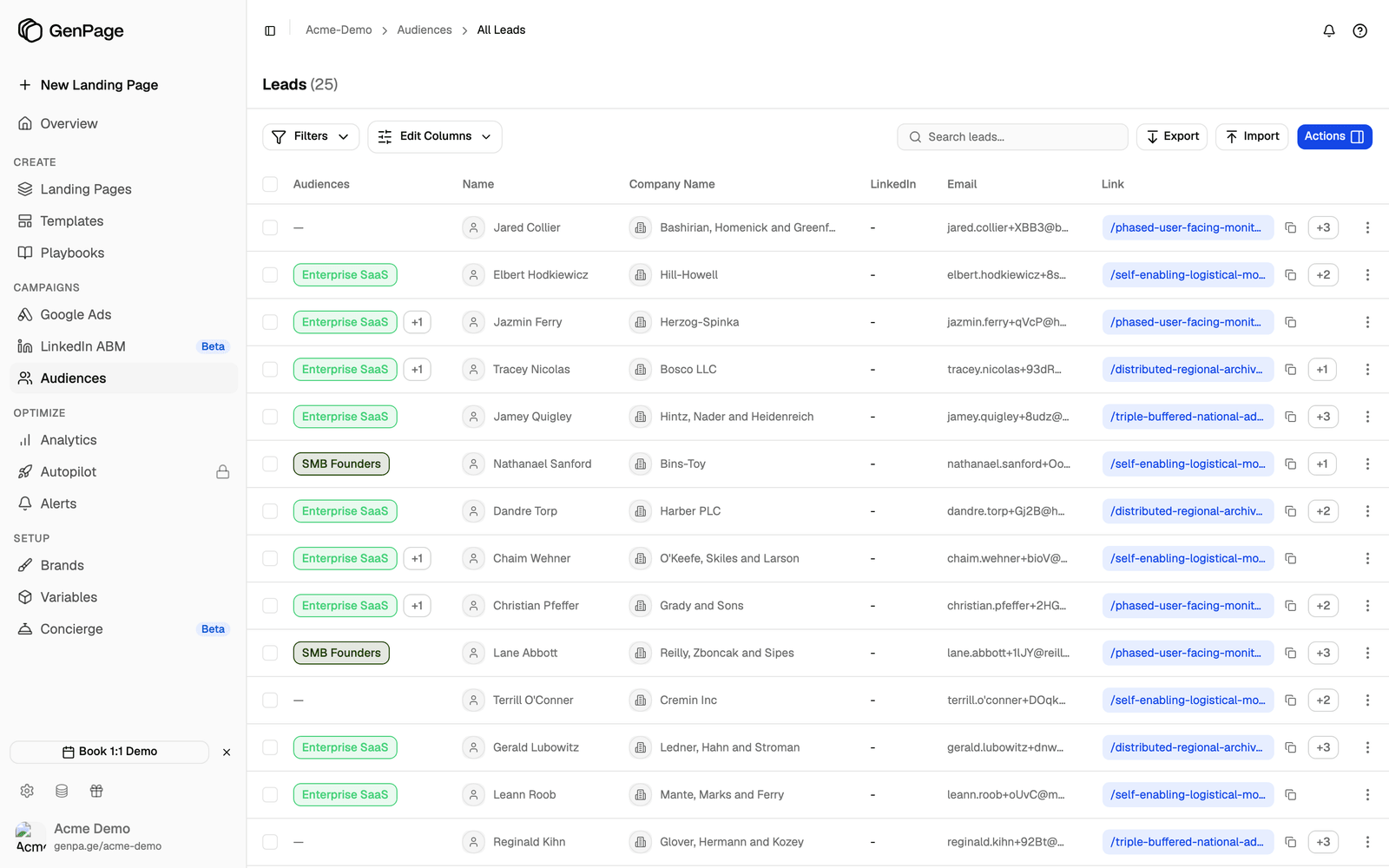 All Leads table showing 25 leads with audience tags, names, companies and page links